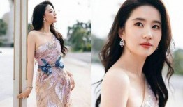 女星大爆料视频合集,揭秘幕后真相与情感纠葛