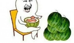 娱乐圈的吃瓜用语