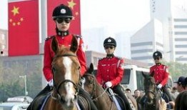 沈阳女骑士爆料新闻报道,揭秘背后惊人真相