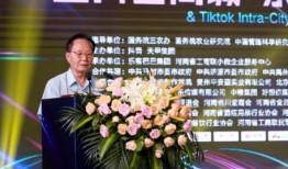 河南网红爆料新闻,揭秘当地热点事件背后的真相